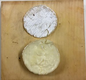 %e3%82%b3%e3%82%b3%e3%83%83%e3%83%88%e3%82%ab%e3%83%9e%e3%83%b3%e6%89%8b%e9%a0%86